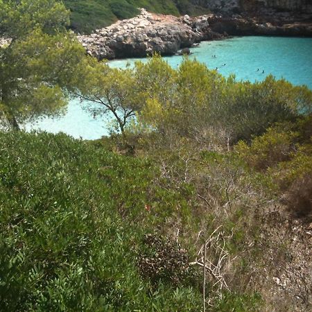 Finca Son Blat Porto Cristo Esterno foto