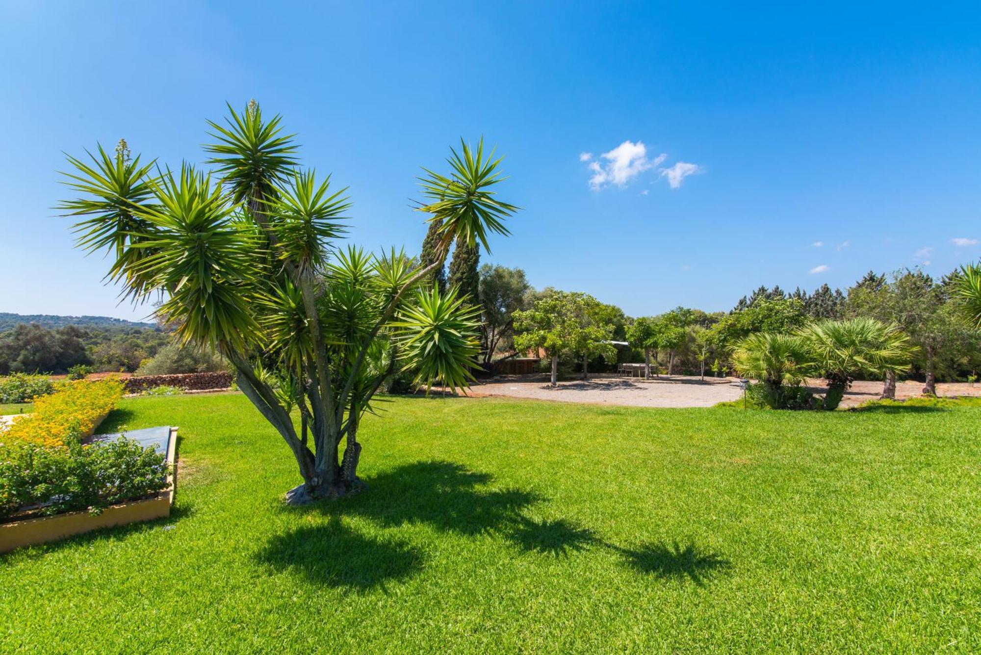 Finca Son Blat Porto Cristo Esterno foto